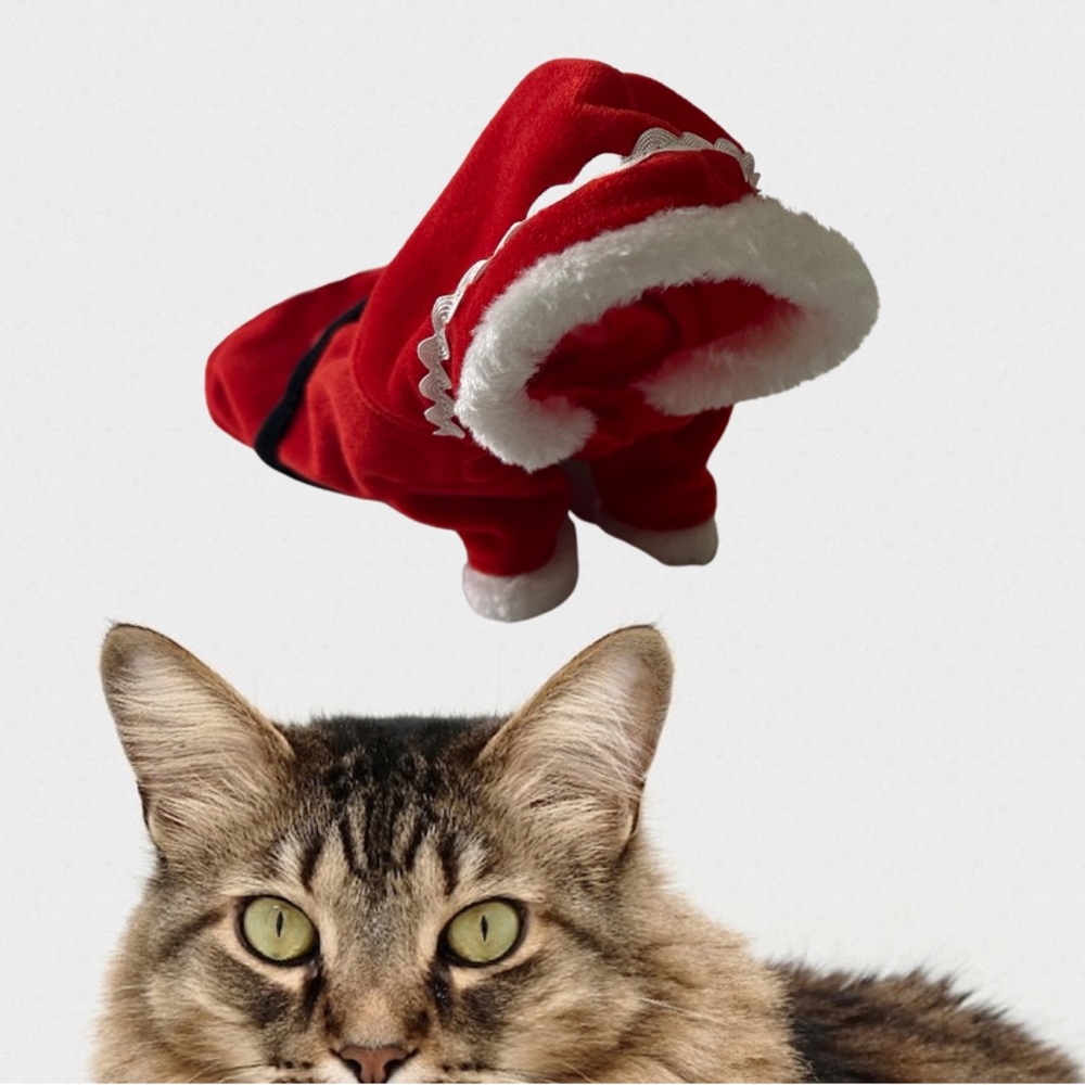 Santa Suit For Cat Dog Small Pet Festive Holidays Red and White in Small